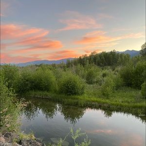 Meet your Posher, Lilly